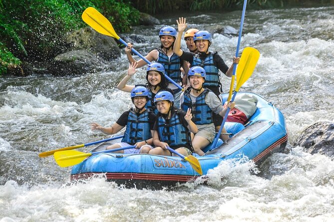 Ubud Ayung Water Rafting included Lunch and Transfer - The scenery is the real prize
