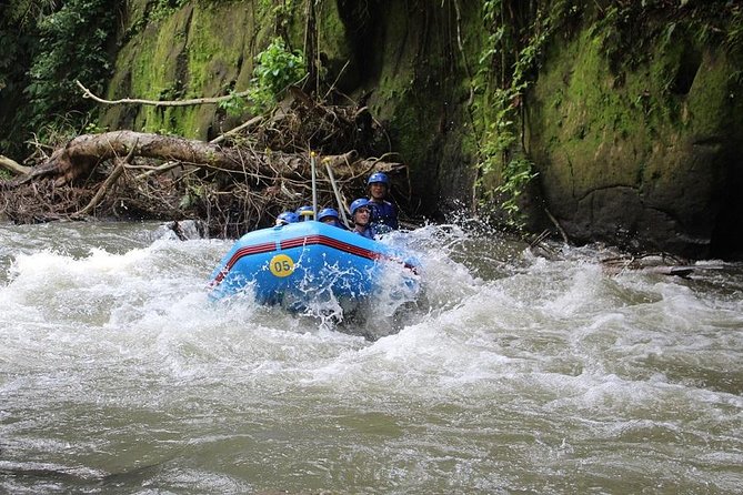 Ubud Ayung Water Rafting included Lunch and Transfer - Is $19.40 a good value?
