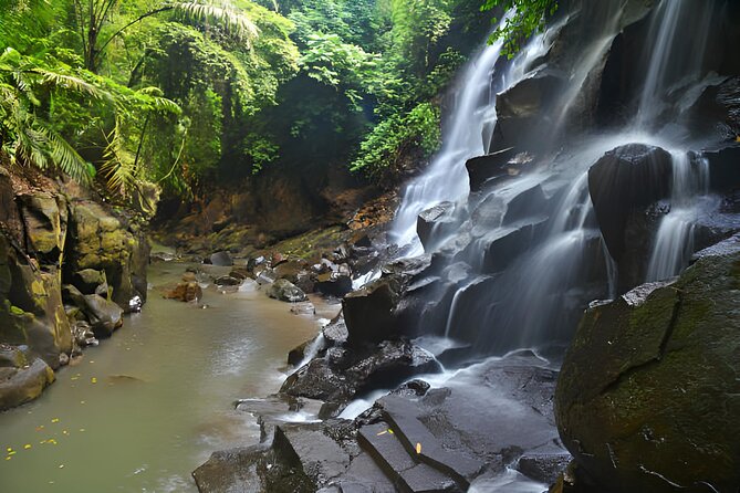Ubud Bali: Rice Terrace, Waterfall and Tirta empul Day Tour - Why this Ubud day works from Seminyak