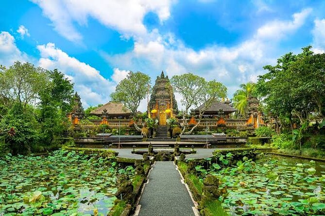 Ubud Bali: Rice Terrace, Waterfall and Tirta empul Day Tour - Tirta Empul turns sightseeing into participation