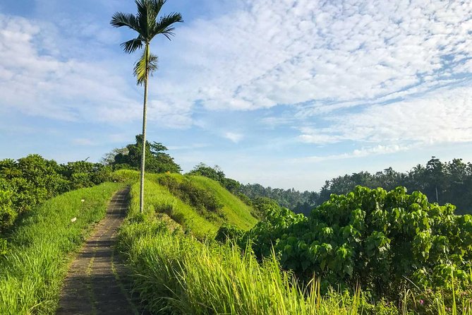 Ubud Countryside Tour: Campuhan Ridge Walk and Rice Terrace - Traditional Balinese House in Batuan