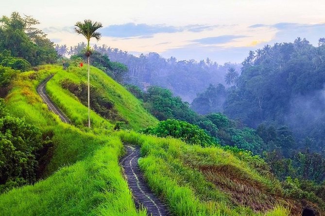 Ubud Countryside Tour: Campuhan Ridge Walk and Rice Terrace - Tegalalang Rice Terrace and the separate donation