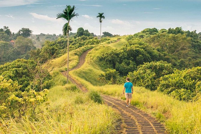 Ubud Countryside Tour: Campuhan Ridge Walk and Rice Terrace - What the $40 price really covers