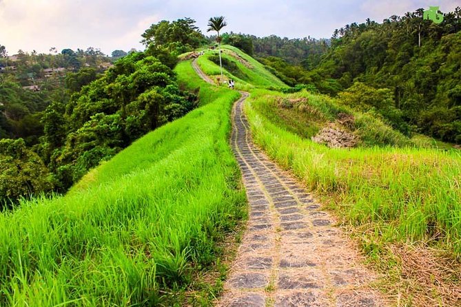 Ubud Countryside Tour: Campuhan Ridge Walk and Rice Terrace - Campuhan Ridge Walk: a gentle break from Ubud