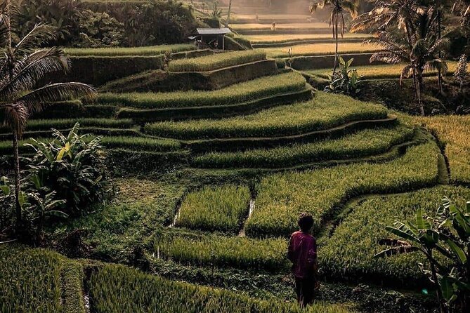 Ubud Customized Full Day Tour - Visit Most favorite In Ubud - Ubud Market, shopping in the town center
