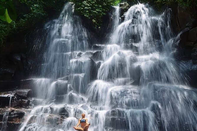 Ubud Customized Full Day Tour - Visit Most favorite In Ubud - Tirta Empul and Bali’s holy spring