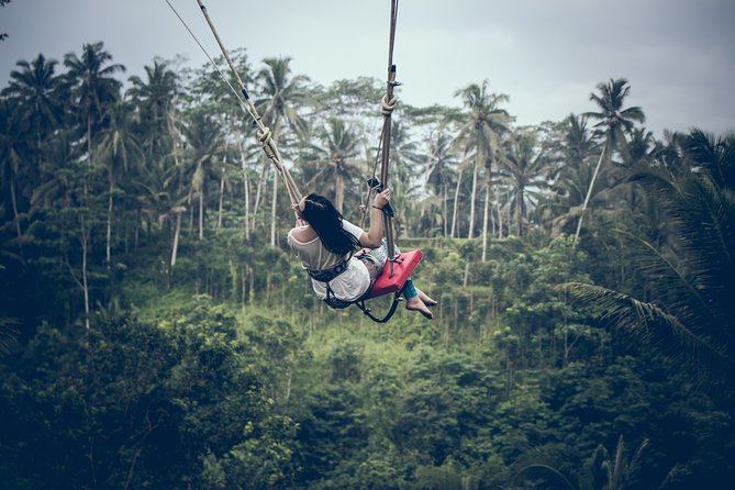 Ubud Customized Private Tour - Choosing between waterfalls, rice fields, and Mount Batur