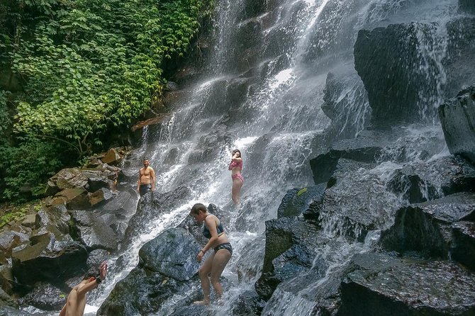 Ubud Customized Private Tour - Why the driver matters more than the checklist