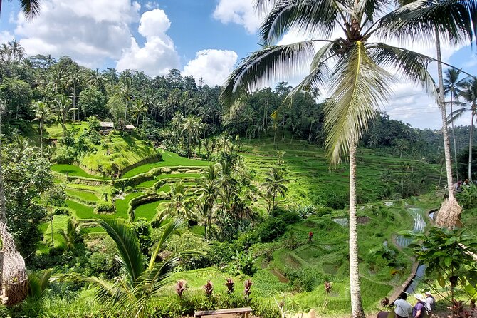 Ubud Customized Private Tour - Could Tanah Lot finish the day?