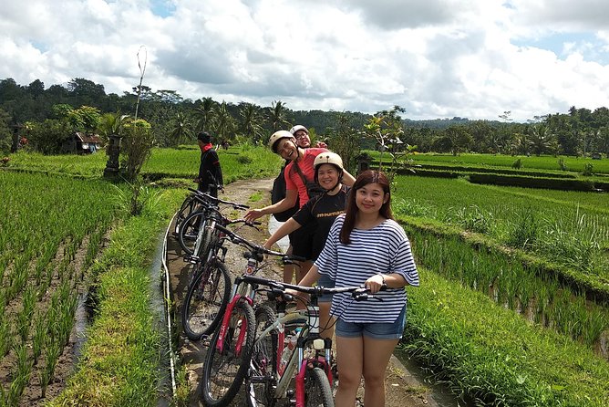 Ubud Cycling Tour - Rice Fields, Temples, Villages, and Workshops