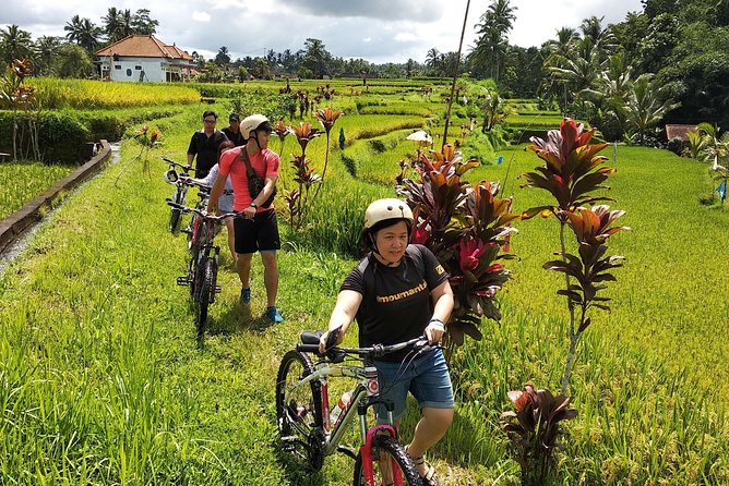 Ubud Cycling Tour - What the Meals and Inclusions Add to the Price