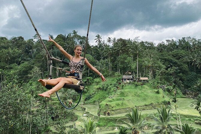 Ubud Day Tour - Private Ubud Tour Guide - Best Of Ubud Tour - What the private car adds to the day