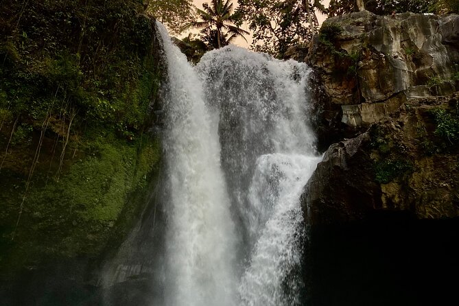 Ubud Day Tour - Private Ubud Tour Guide - Best Of Ubud Tour - Who should book this Ubud day?