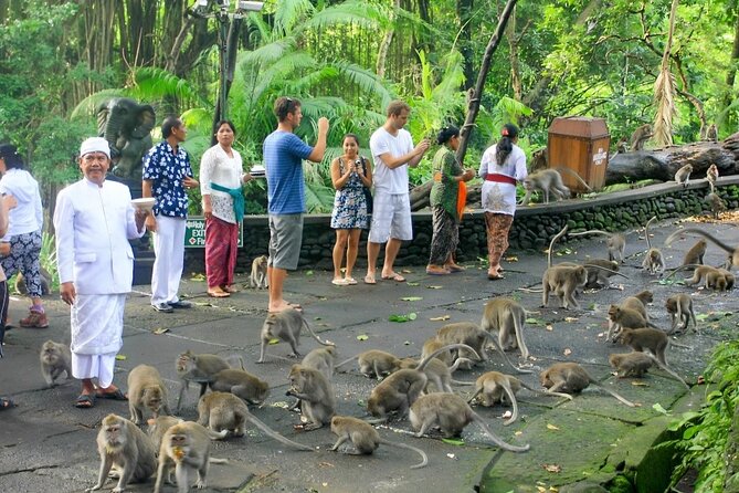 Ubud Day Tour: Sacred Monkey Forest, Tegenungan Waterfall, Rice Terrace - Tegalalang Rice Terrace: Fine Views, Real Walking