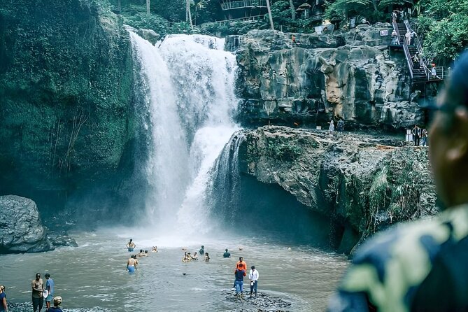 Ubud Day Tour: Sacred Monkey Forest, Tegenungan Waterfall, Rice Terrace - What the $24 Price Really Gets You