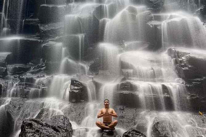 Ubud Day Tour : Waterfall, Temple and Local Night Market Tour - Who should book this Ubud day tour?