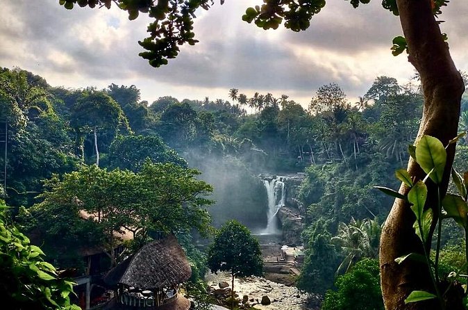 Ubud Day Tour with Private Car & Local Driver - Tirta Empul Temple and Bali’s holy spring water