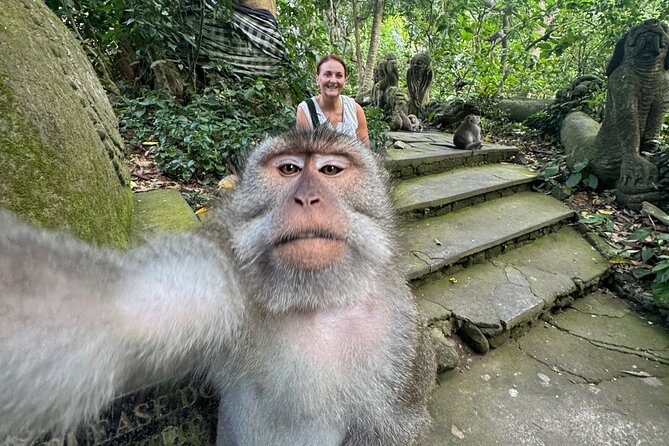 Ubud Day Tour with Private Car & Local Driver - Tegalalang Rice Terrace for the classic Ubud view