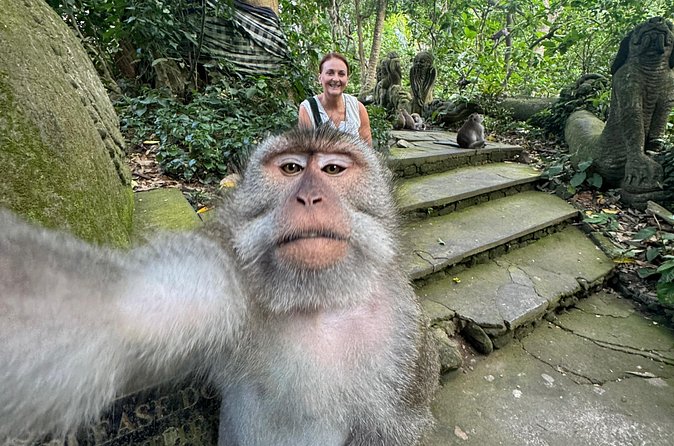 Ubud Day Tour with Private Car & Local Driver - Monkey Forest and shopping need a quick confirmation
