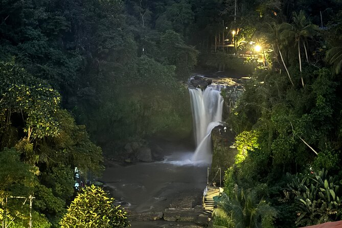 Ubud Day Tour with Private Car & Local Driver - What is included, and what will cost extra