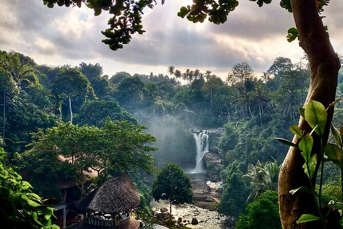 Ubud Day Tour with Private Car & Local Driver - Tegenungan Waterfall: a quick hit of Bali scenery