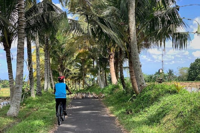 Ubud: Downhill Cycling with Volcano, Rice Terraces and Meal - The coffee plantation question