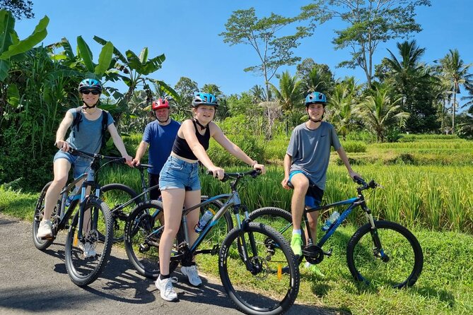 Ubud: Downhill Cycling with Volcano, Rice Terraces and Meal - Rice fields, farms, and Bali away from Ubud center