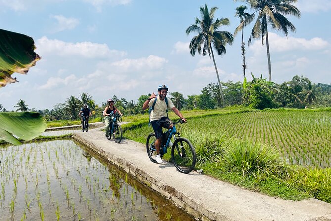 Ubud eBikes Tour to Tegallalang Rice Terrace - The traditional Balinese compound house