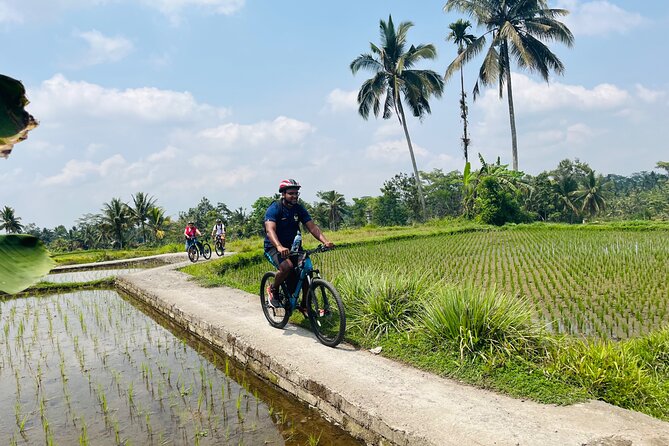 Ubud eBikes Tour to Tegallalang Rice Terrace - Temples, Hindu customs, and the village setting