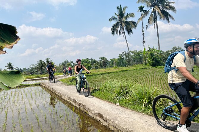 Ubud eBikes Tour to Tegallalang Rice Terrace - What the $30.55 price gets you