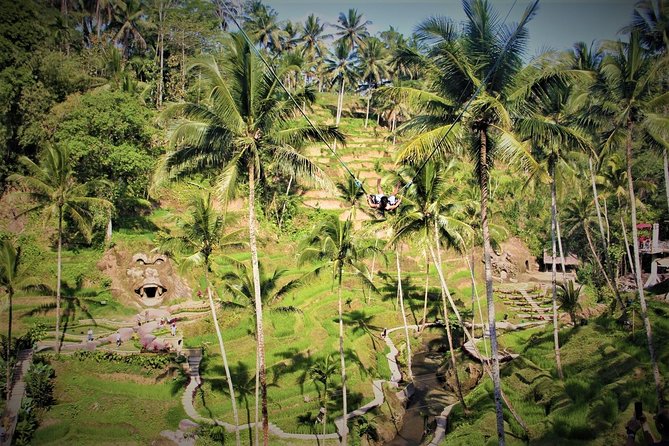 Ubud Experience | Full Day Private Tour in Ubud | FREE WIFI - Tirta Empul, Bali’s holy spring temple
