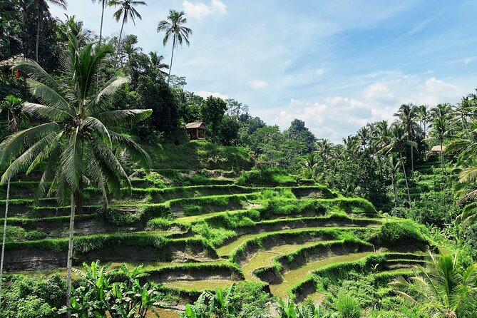 Ubud Experience | Full Day Private Tour in Ubud | FREE WIFI - Batuan Temple and Saraswati Temple