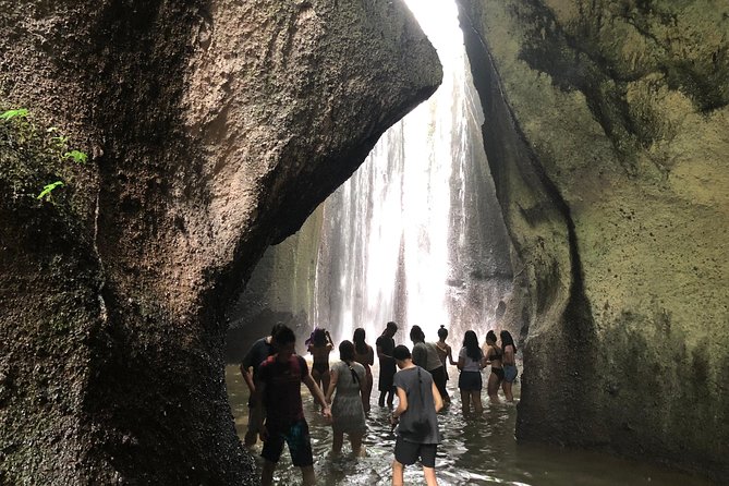 Ubud Experience ; Swing, Waterfalls, Art Market, Rice Terrace - Ubud Palace in a compact 30 minutes
