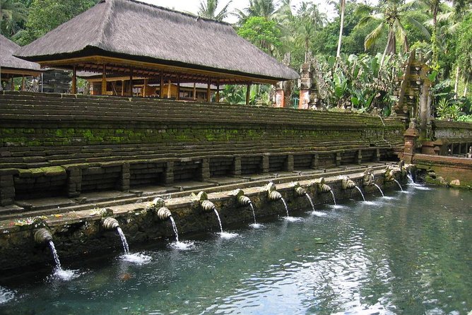 Ubud Experience ; Swing, Waterfalls, Art Market, Rice Terrace - The practical tradeoff: private comfort versus road time