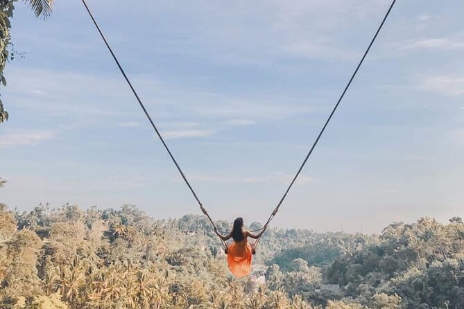 Ubud Full Day - Monkey Forest, Rice Terrace and Waterfalls Tour - What a $28.05 Ubud day looks like