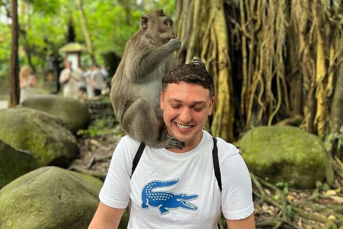Ubud Full Day - Monkey Forest, Rice Terrace and Waterfalls Tour - Monkey Forest: wildlife, temples, and a need for care