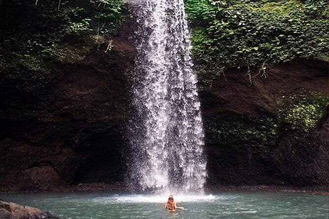 Ubud Full Day - Monkey Forest, Rice Terrace and Waterfalls Tour - Tegalalang Rice Terrace and local farming