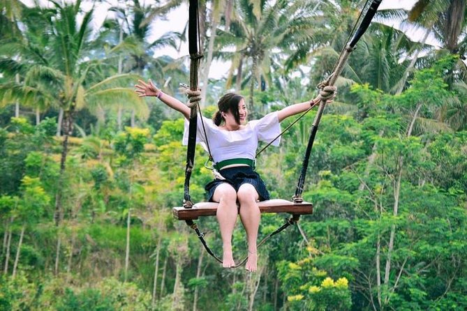 Ubud Full Day Tour Waterfall Monkey Forest Rice Terrace - The main drawbacks to weigh
