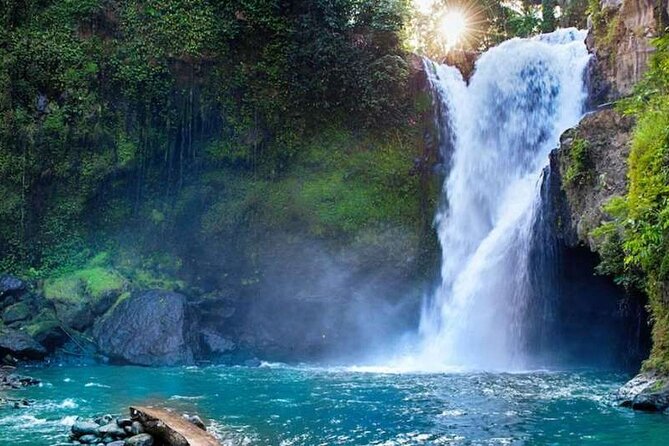 Ubud Full Day Tour Waterfall Monkey Forest Rice Terrace - Reading the terraces at Tegallalang