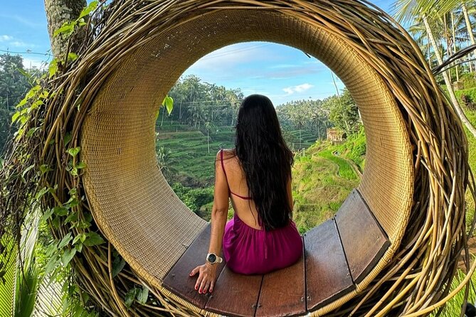 Ubud Guided Tour Monkey Forest, Waterfall, Temple & Rice Terrace. - The Monkey Forest and its long-tailed macaques