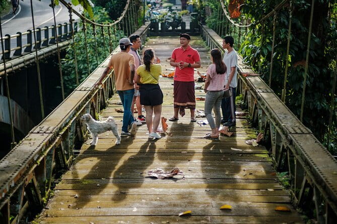 Ubud Guided Walking Tour - Key points at a glance