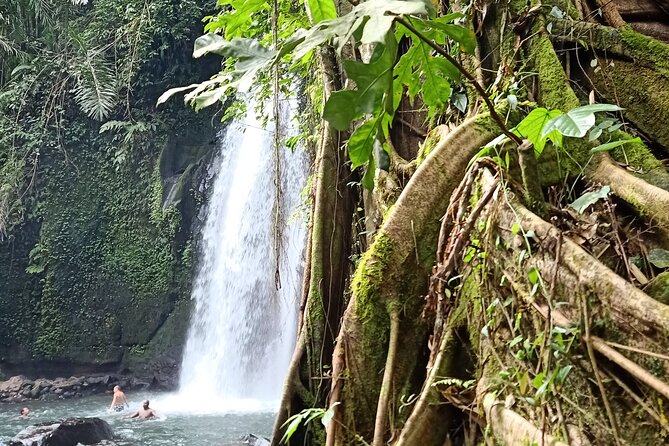 Ubud Half Day Zipline and Jungle Swing - Short ziplines over the fields