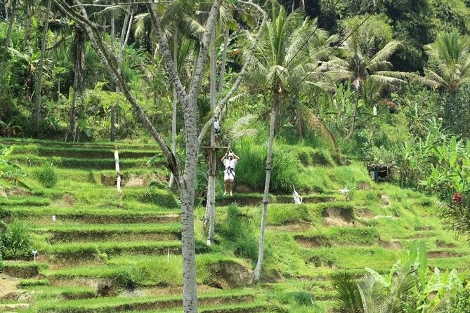 Ubud Half Day Zipline and Jungle Swing - Coffee, tea, and a slower finish