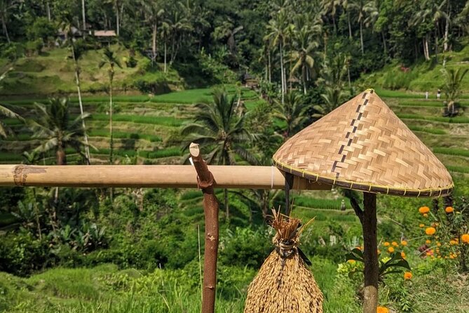 Ubud Half Day Zipline and Jungle Swing - The 13-meter swing and optional fly dress