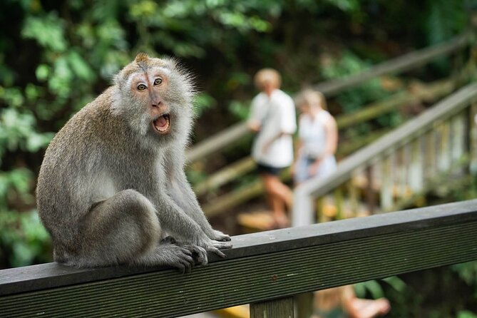 Ubud Highlight: Best of Ubud Private Day Tour with Local Guide - What the private vehicle adds