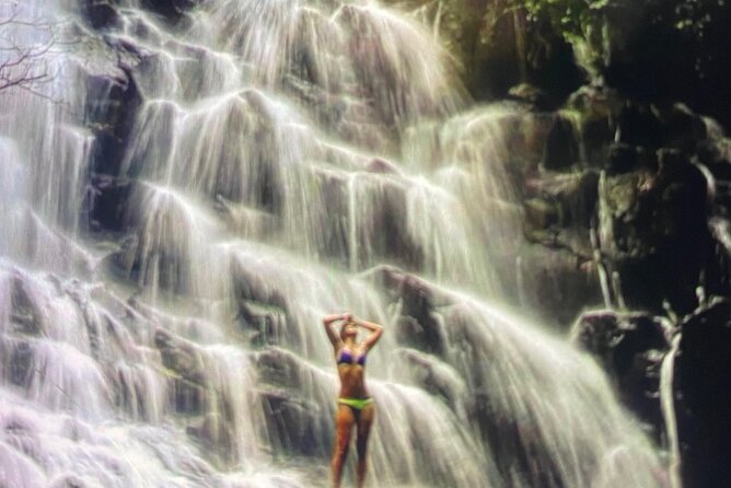 Ubud Highlight Rice Terrace,Waterfall,Temple and Art village - Tirta Empul and Balinese Hindu traditions