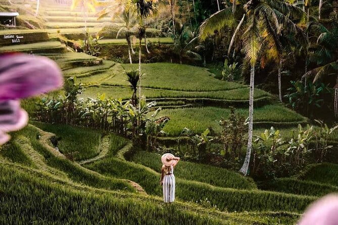 Ubud Highlights -Private Tour,Temples, Waterfalls & Rice terraces - Key points to know before booking