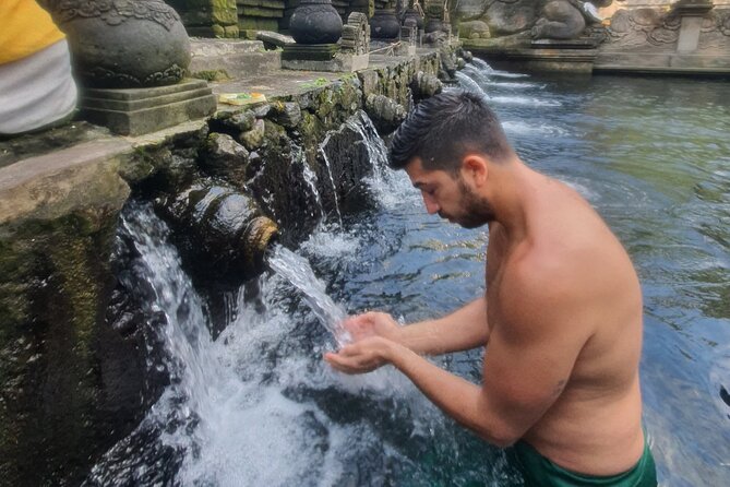 Ubud Highlights Rice Terraces, Temple, Waterfall & Monkeys forest - Tegalalang Rice Terrace and the photo-stop question