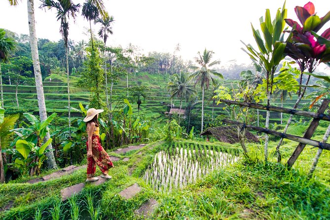 Ubud Iconic Full Day Tour Monkey Forest Rice Terraces Waterfalls - Key points at a glance