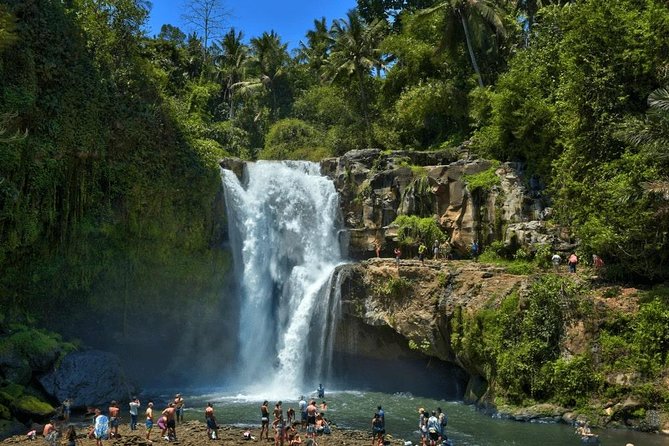Ubud Instagram: Waterfall Tours - Tibumana: palms, an easygoing setting, and more breathing room
